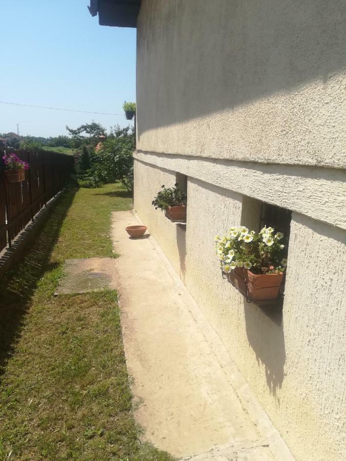 Anejo Apartment Beograd Ngoại thất bức ảnh
